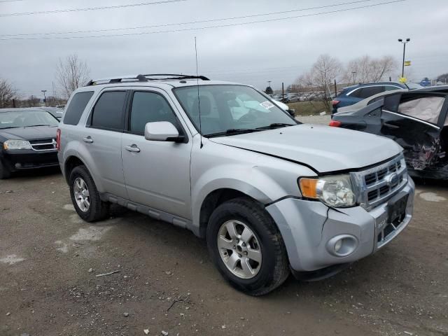 2009 Ford Escape Limited