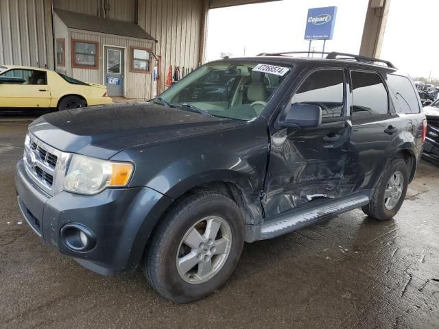 2008 Ford Escape XLT