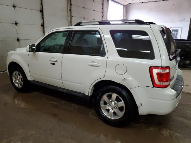 2011 Ford Escape Limited