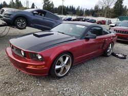 Salvage cars for sale at Graham, WA auction: 2007 Ford Mustang GT