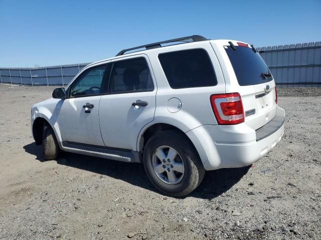 2010 Ford Escape XLT