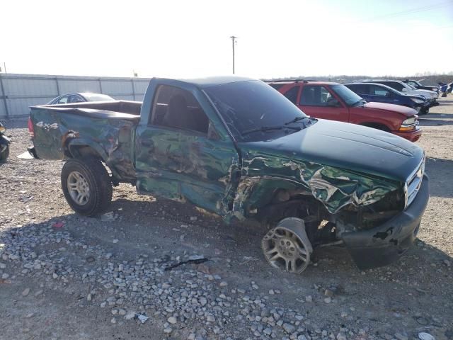 2004 Dodge Dakota SXT