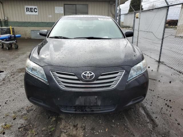 2009 Toyota Camry Hybrid