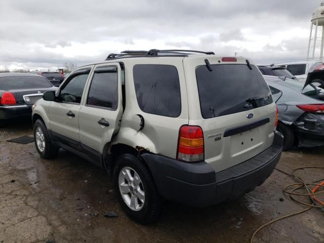 2005 Ford Escape XLT