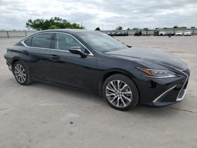 2019 Lexus ES 350