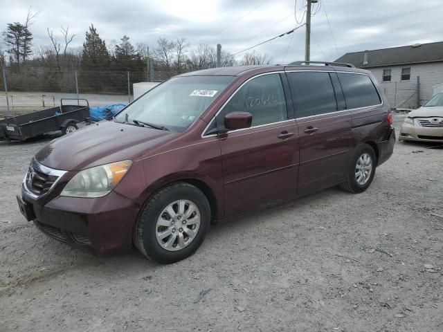 2010 Honda Odyssey EX