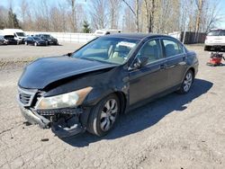 Honda salvage cars for sale: 2009 Honda Accord EXL