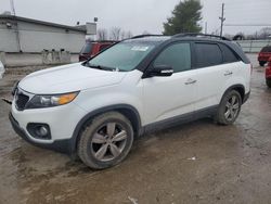 Salvage cars for sale at Lexington, KY auction: 2012 KIA Sorento EX