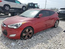 Salvage cars for sale from Copart New Braunfels, TX: 2013 Hyundai Veloster