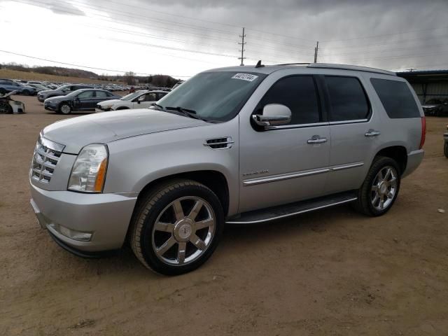 2010 Cadillac Escalade Luxury