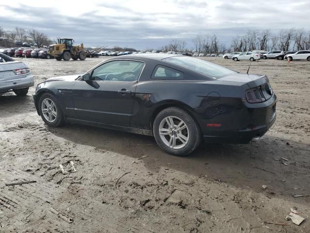 2014 Ford Mustang