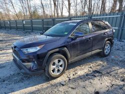 Salvage cars for sale at Candia, NH auction: 2019 Toyota Rav4 XLE