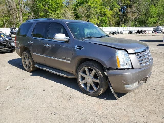 2011 Cadillac Escalade Luxury