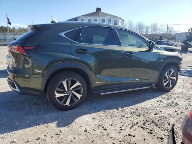 2021 Lexus NX 300H Base