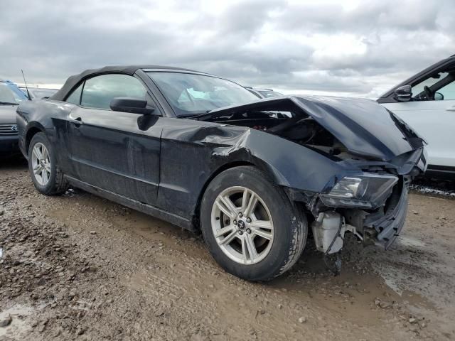 2014 Ford Mustang