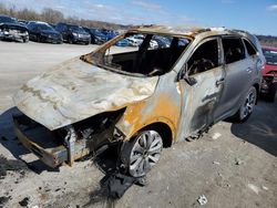 Salvage cars for sale at Cahokia Heights, IL auction: 2017 KIA Sorento EX