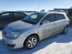 Salvage cars for sale at Nisku, AB auction: 2005 Toyota Runx