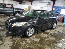 Ford salvage cars for sale: 2014 Ford Focus SE