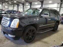 Salvage cars for sale from Copart Ham Lake, MN: 2011 Cadillac Escalade Luxury