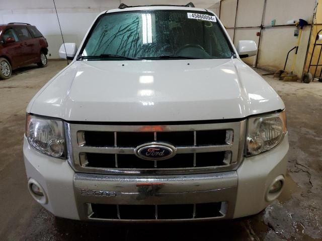 2011 Ford Escape Limited