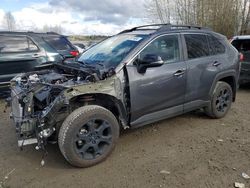 Salvage cars for sale at Arlington, WA auction: 2022 Toyota Rav4 TRD OFF Road