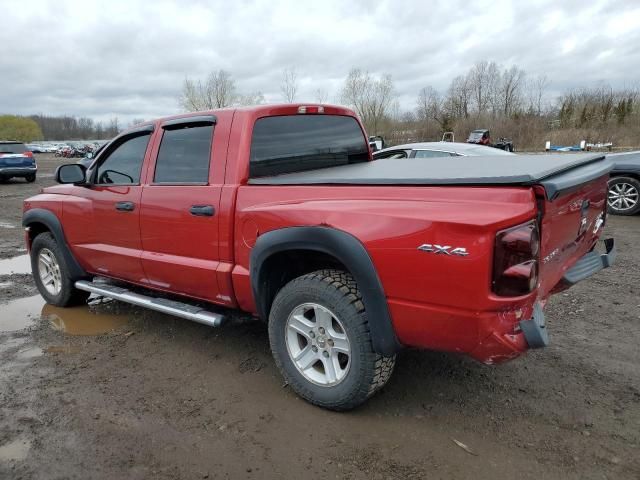 2010 Dodge Dakota SXT