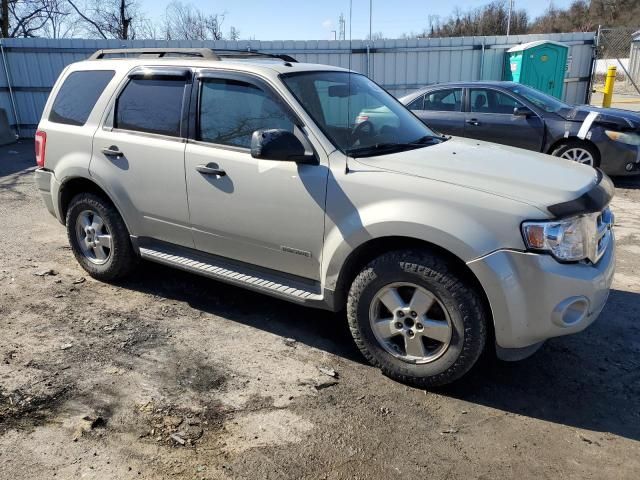 2008 Ford Escape XLT