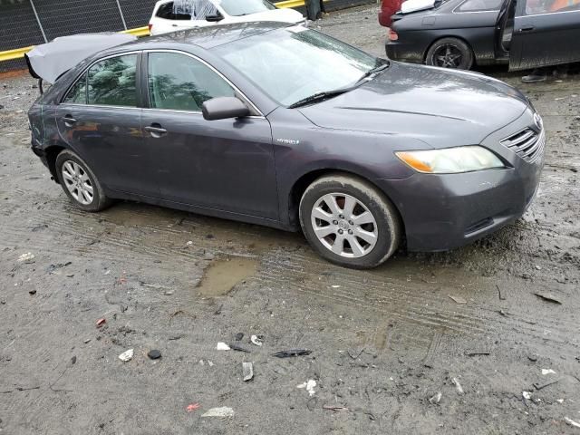 2009 Toyota Camry Hybrid