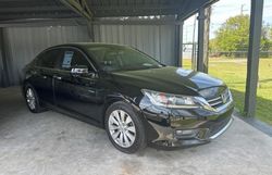 Salvage cars for sale from Copart Apopka, FL: 2015 Honda Accord EXL