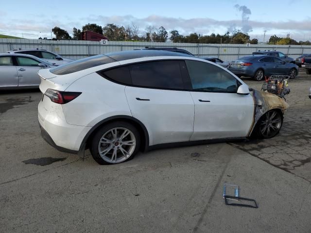 2020 Tesla Model Y