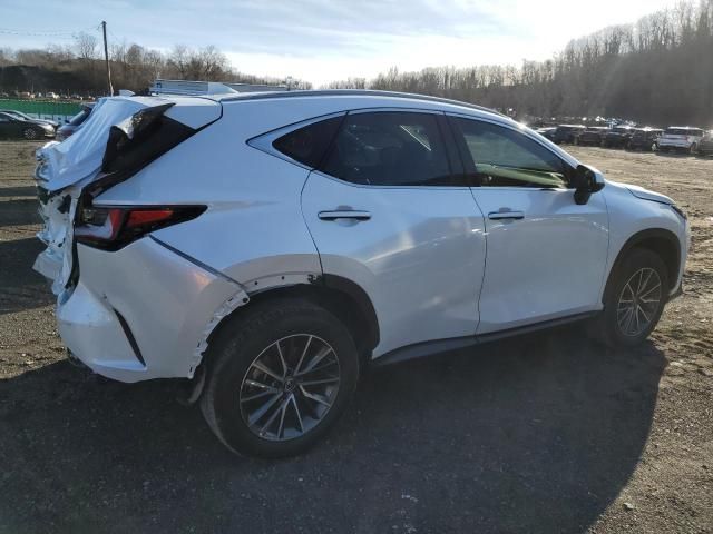 2024 Lexus NX 250 Base