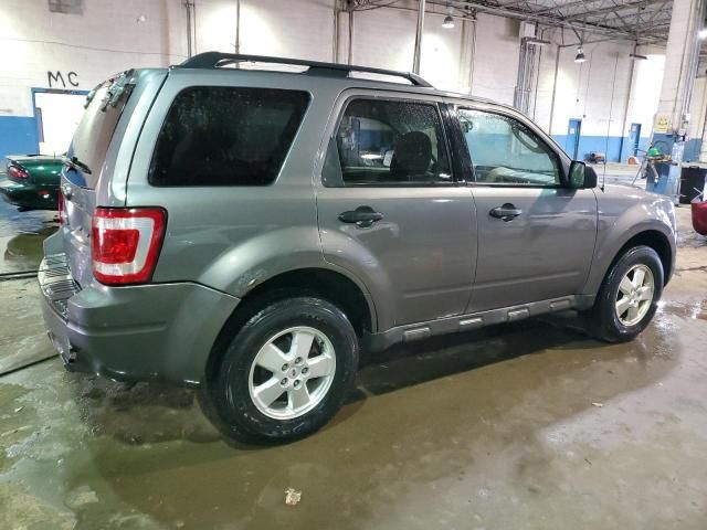 2009 Ford Escape XLT