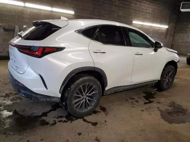 2022 Lexus NX 250