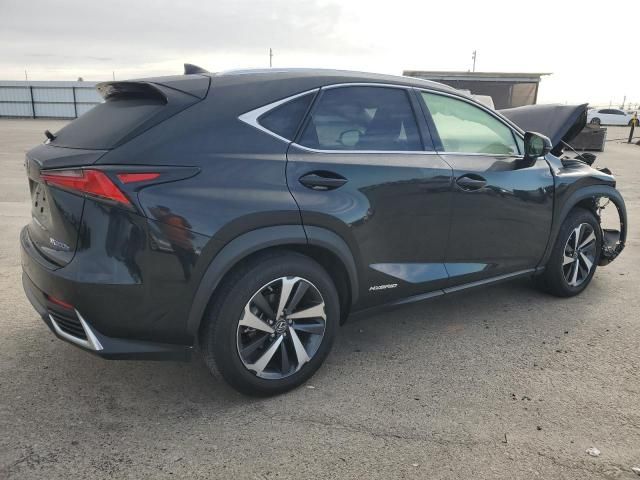 2021 Lexus NX 300H Base