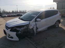 2014 Ford Escape SE en venta en Fort Wayne, IN