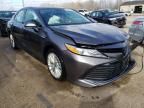 2020 Toyota Camry XLE