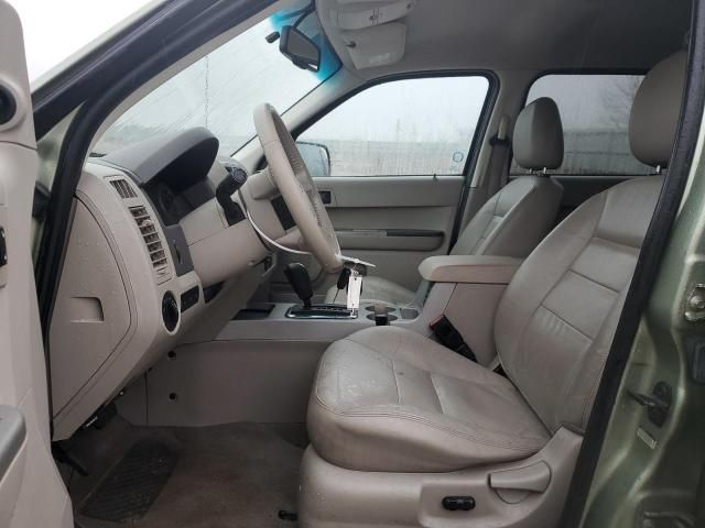 2008 Ford Escape XLT