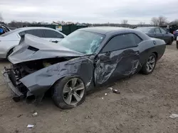 Dodge salvage cars for sale: 2017 Dodge Challenger SXT