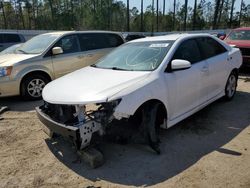 Salvage cars for sale at Harleyville, SC auction: 2013 Toyota Camry L