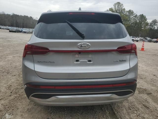 2023 Hyundai Santa FE SEL Premium