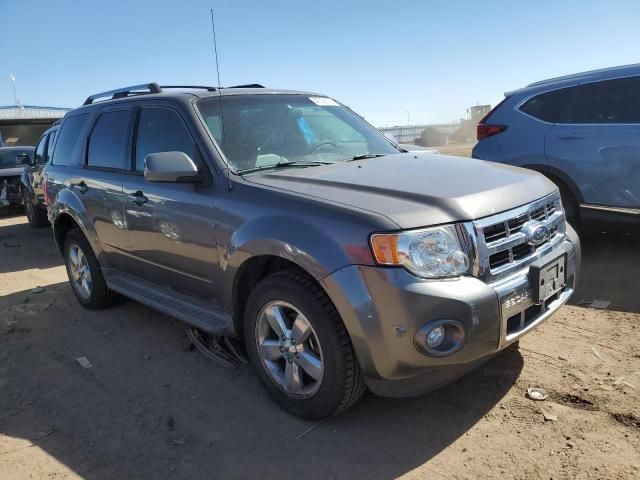 2012 Ford Escape Limited