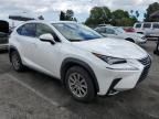 2020 Lexus NX 300H