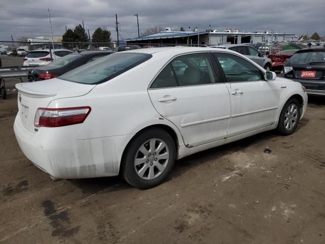 2008 Toyota Camry Hybrid