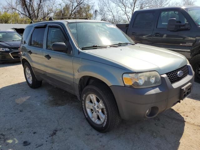 2006 Ford Escape XLT