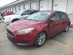 Salvage cars for sale at Louisville, KY auction: 2015 Ford Focus SE
