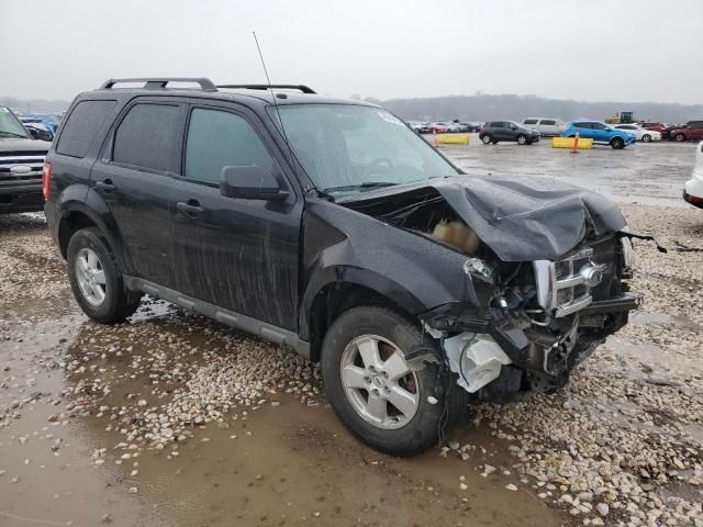 2009 Ford Escape XLT