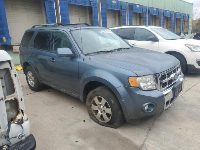 2011 Ford Escape Limited