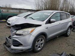 Salvage cars for sale from Copart Arlington, WA: 2014 Ford Escape SE