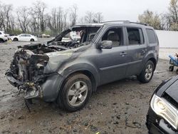 Honda Pilot Exln salvage cars for sale: 2011 Honda Pilot Exln