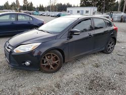 Ford Focus SE salvage cars for sale: 2014 Ford Focus SE